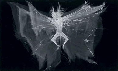Artist - Marjorie Cameron